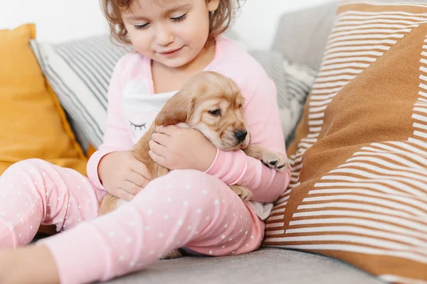 Cute Little Girl Playing Dog English Cocker Spaniel Puppy Home — Stock Photo, Image