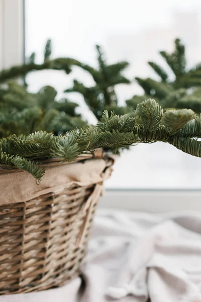 Spruce Branches Basket Rustic New Year Christmas Decoration Home Scandinavian — Stock Photo, Image