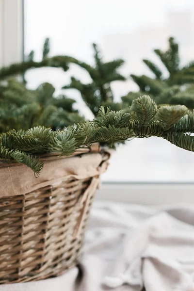 Sepet Içinde Çam Dalları Rustik Yeni Yıl Noel Dekorasyonu Evde — Stok fotoğraf