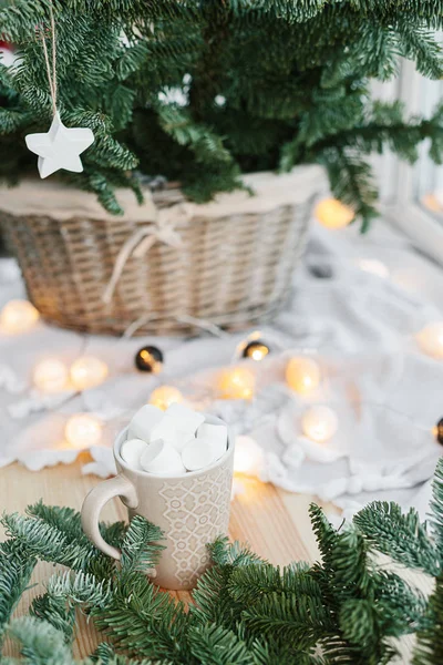 Spruce branches in basket and cup with cacao and marshmallow. Rustic new year christmas decoration at home, scandinavian interior