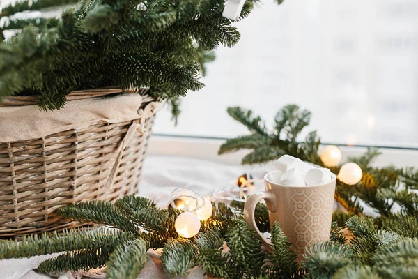 Spruce branches in basket and cup with cacao and marshmallow. Rustic new year christmas decoration at home, scandinavian interior