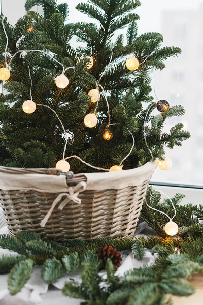 Vuren Takken Met Lichten Garland Mand Rustieke Nieuwjaar Kerstdecoratie Thuis — Stockfoto