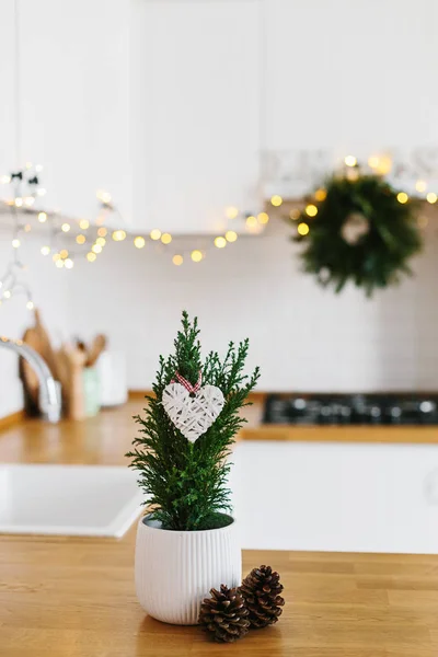 Kleine Kerstboom Witte Bloempot Wazig Wit Moderne Keuken Scandinavische Stijl — Stockfoto
