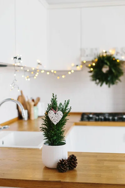 Pequeño Árbol Navidad Maceta Blanca Cocina Moderna Blanca Estilo Escandinavo —  Fotos de Stock