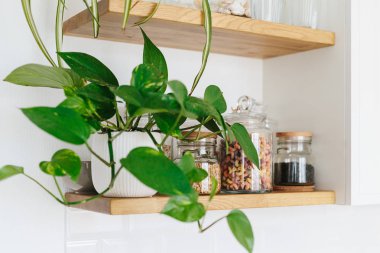 Açık raflar kiler mutfakta. Beyaz mutfak görünümünü