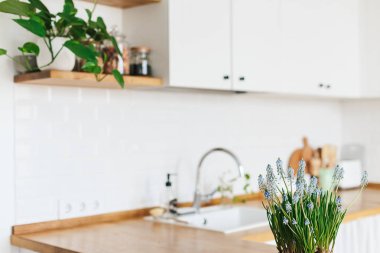 Modern beyaz u şeklinde mutfak İskandinav tarzı. Açık raflar bitkiler ve kavanozlar mutfakta. Bahar dekorasyon