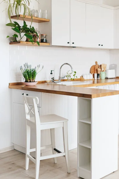 Modern white u-shaped kitchen in scandinavian style. Open shelves in the kitchen with plants and jars. Spring decoration