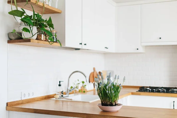 Moderna Cocina Blanca Forma Estilo Escandinavo Estantes Abiertos Cocina Con — Foto de Stock