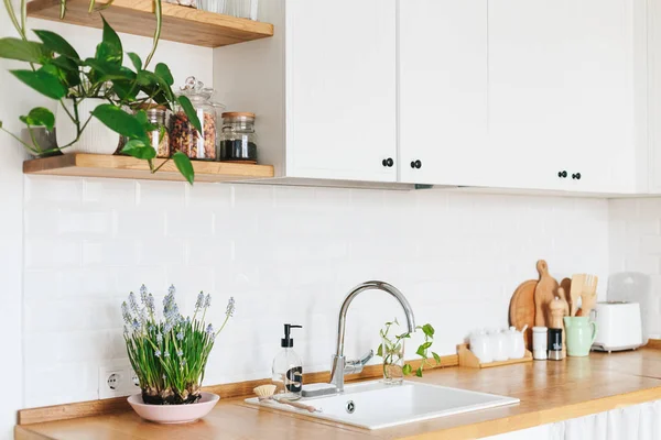 Modern white u-shaped kitchen in scandinavian style. Open shelves in the kitchen with plants and jars. Spring decoration