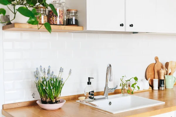 Modern white u-shaped kitchen in scandinavian style. Open shelves in the kitchen with plants and jars. Spring decoration