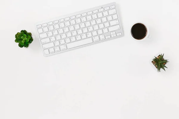 Computer Keyboard Coffee Cup Succulent Flower Isolated White Textured Background — Stock Photo, Image