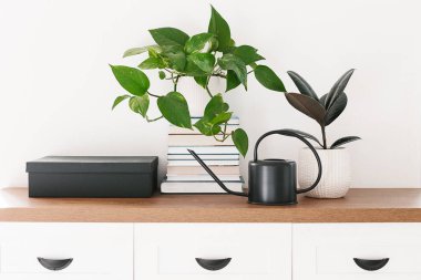 Farklı houseplants kazık kitap ve siyah sulama ahşap raf düzenlenmiş olabilir. Scandinavina iç detay