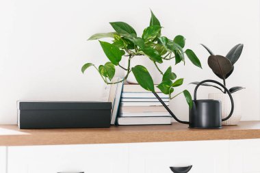 Farklı houseplants kazık kitap ve siyah sulama ahşap raf düzenlenmiş olabilir. Scandinavina iç detay