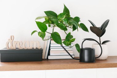 Rüya mektupları, farklı houseplants, kazık kitap ve siyah sulama ahşap raf düzenlenmiş olabilir. Scandinavina iç detay