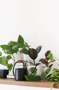 Farklı houseplants kazık kitap ve siyah sulama ahşap raf düzenlenmiş olabilir. Scandinavina iç detay