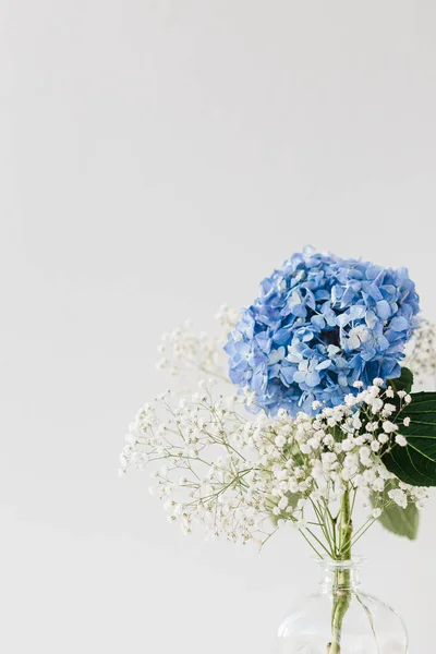Flowers in vase blue hydrangea and white small baby breath on white light background. Spring and easter decoration