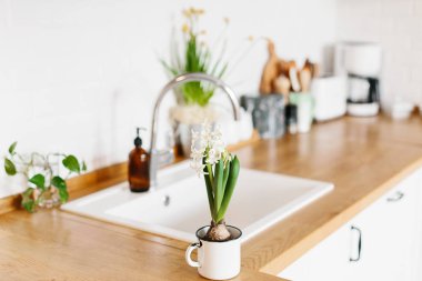 Beyaz mutfak İskandinav tarzı üzerinde beyaz sümbül çiçek