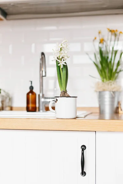 Flor jacinto branco na cozinha branca estilo escandinavo — Fotografia de Stock