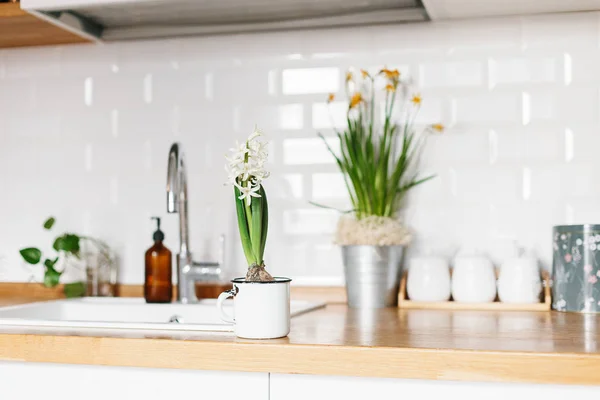 Flor de jacinto blanco en estilo escandinavo cocina blanca — Foto de Stock