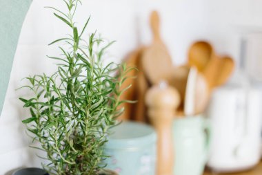 Mutfak aksesuarları, mutfak detayları, ahşap masa üzerine bitkiler, beyaz seramik tuğla duvar arka plan