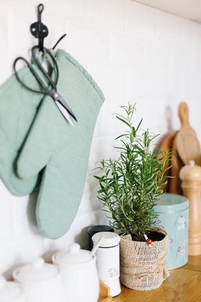 Кухонные принадлежности, кухонные детали, растения на деревянном столе, белый керамический кирпичный фон стены — стоковое фото