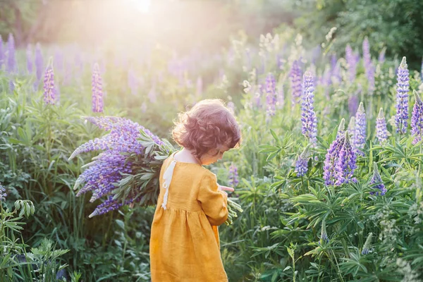 Adorável menina encaracolado vestindo vestido de linho de mostarda com llupine flores buquê — Fotografia de Stock