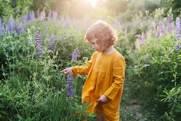 Чарівна маленька дівчинка в сукні з гірчиці знаходить сонечко серед квітів люпину — стокове фото