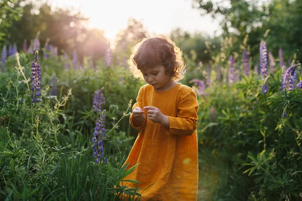 Bedårande liten flicka klädd i senap linne klänning med nyckelpiga bland Lupine blommor — Stockfoto