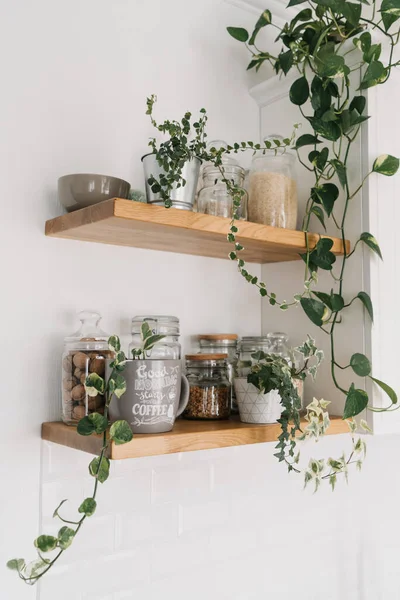 Open wooden shelves in the kitchen with jars and houseplant, pantry. View of the kitchen. Selective focus. Sustainable living eco friendly kitchen