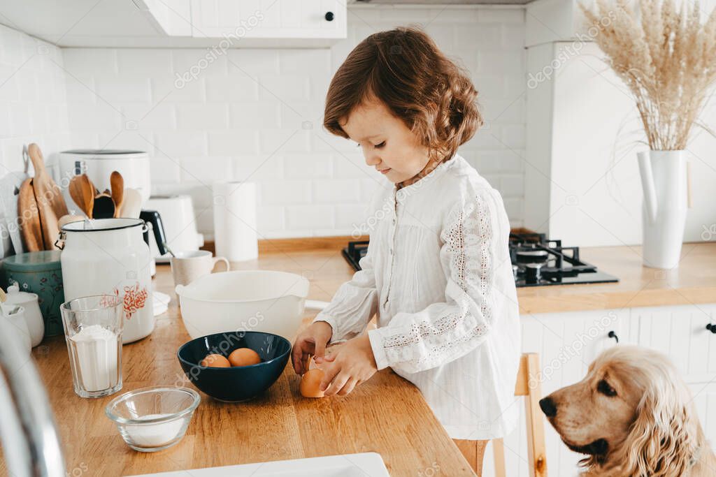 Little girl preparing dough for pancakes at the kitchen. Together with spaniel dog. Concept of food preparation. Casual lifestyle photo series in real life interior