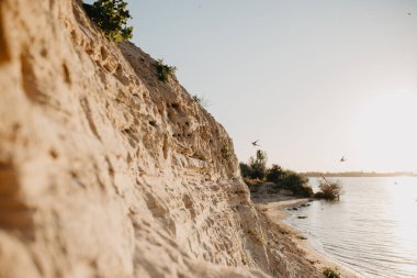 Yuvalarını uçurumun tepesindeki kumda kırlangıçlar gün batımında gökyüzüne karşı kırlangıçla uçuyor. Güzel gün batımı gölü manzarası. Seçici odak