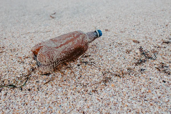 Bottiglia Plastica Scartata Animali Domestici Che Giace Sulla Costa Causando — Foto Stock