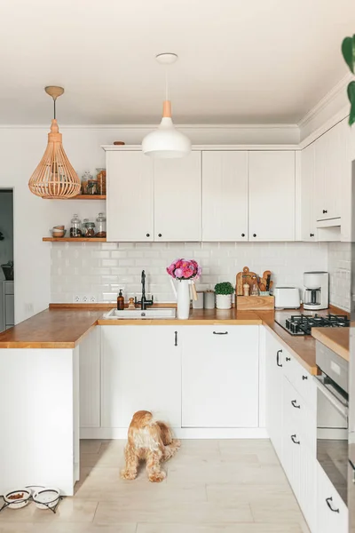 İskandinav tarzında temiz, basit, modern mutfağa bakın. Mutfak detayları, ahşap masa. Masadaki paskalya Michaelmas papatyası.