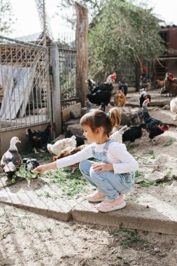 Çiftlikteki hayvanlar için kahvaltı zamanı. Sevimli küçük kız tavuk ve ördekleri besliyor.