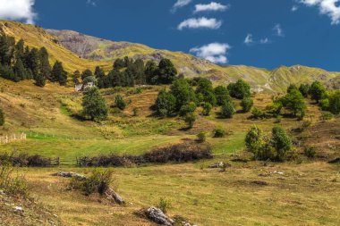 Dağ Alpin çayırlar wirh ağaçlar ve çit
