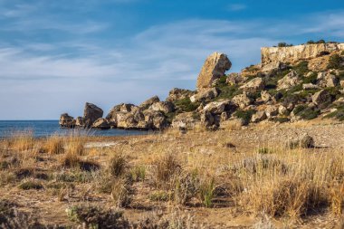 Çöl beach yatay, çim ve kayalar