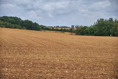 Kuru çim alan ve huters ahşap barınak gizlemek kule ile Peyzaj