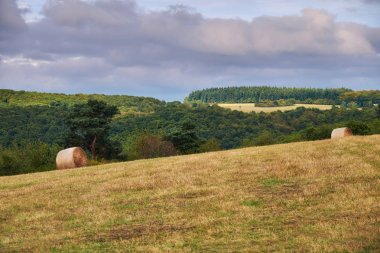 Almanya'da Hessen arazi tepelerin üzerinde birçok haddelenmiş saman staks ile Sonbahar sarı tarım alanları