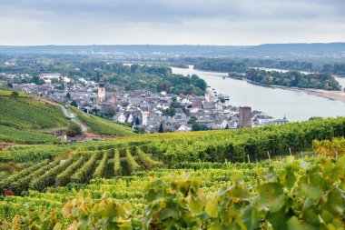 Turistik rotadan Rudesheim Rhein kasabasına havadan görünüm