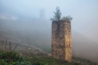 Pus dramatik ışık ile yüksek dağ Adishi köyünde ondan ağaç gow ile Destoyed svan kulesi