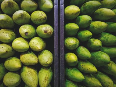 Doğal durum ile taze yeşil mango yüksek açılı görünüş