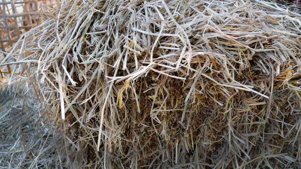 Pile Haystack Farm — Stock Photo, Image