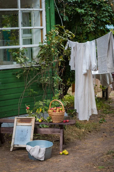 Washed laundry dries in the summer garden, basket of apples, vintage washing board