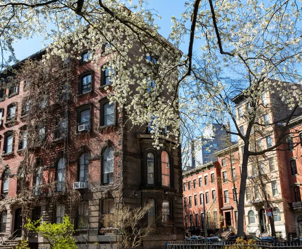 Colorful spring scene in the East Village of New York City with historic buildings on Stuyvesant Street