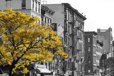 East Village Manhattan, New York City 2 cadde üzerinde siyah beyaz Nyc sokak sahnesinde altın sonbahar ağacı
