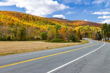 New England renkli sonbahar orman manzara ile boş karayolu yol