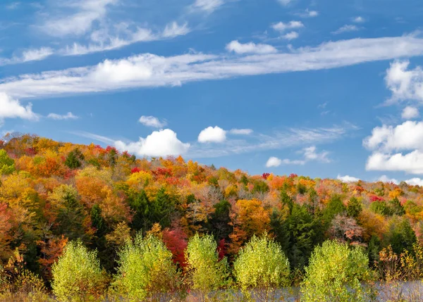 Bunte Herbst Wald Laub New England Landschaft Szene — Stockfoto