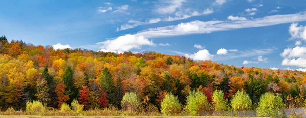 Bunte Herbst Wald Laub Panoramischen Neuengland Landschaft Szene — Stockfoto