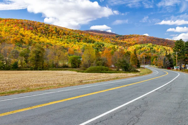 在新英格兰 穿越五颜六色的秋天森林景观的空公路 — 图库照片
