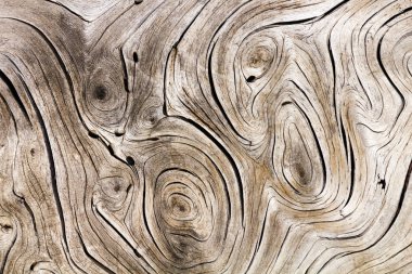 Old weathered wood background texture with swirl pattern
